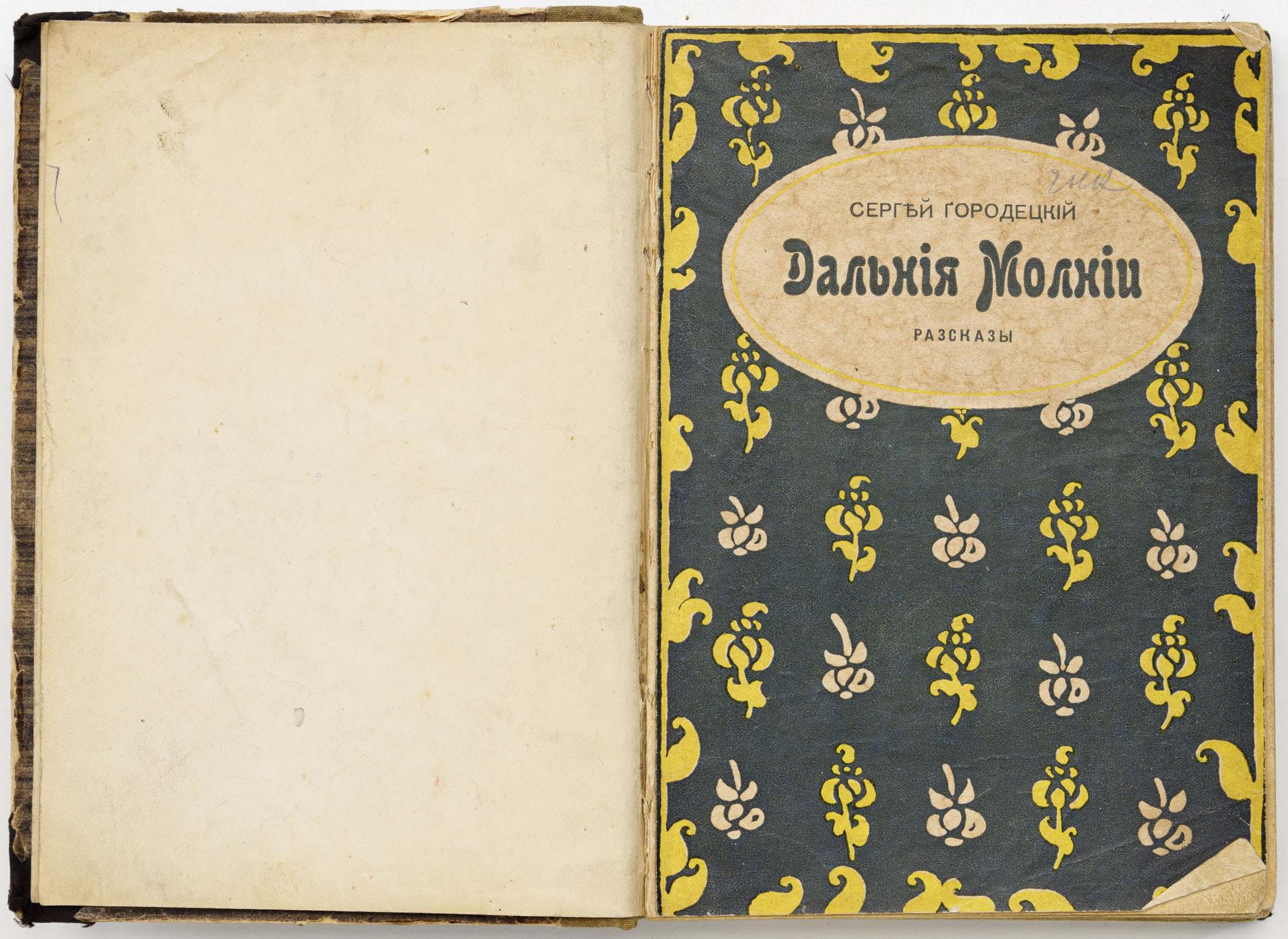 Городецкий С.М. Дальние молнии: Рассказы