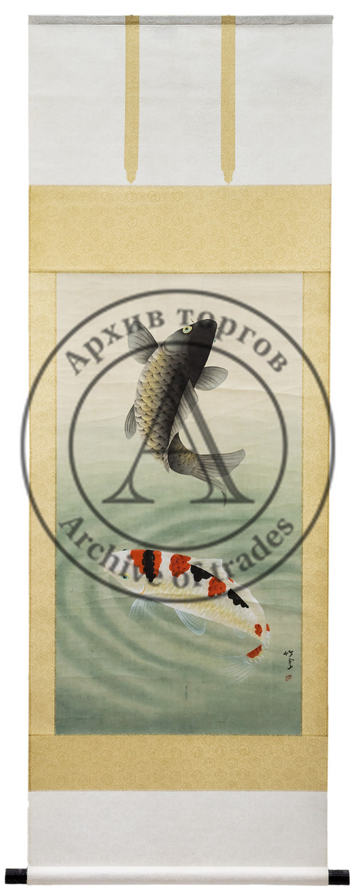 Цветные карпы Кои