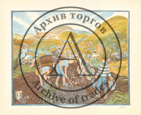 Сбор картошки