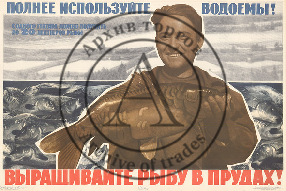 Плакат «Выращивайте рыбу в прудах!»