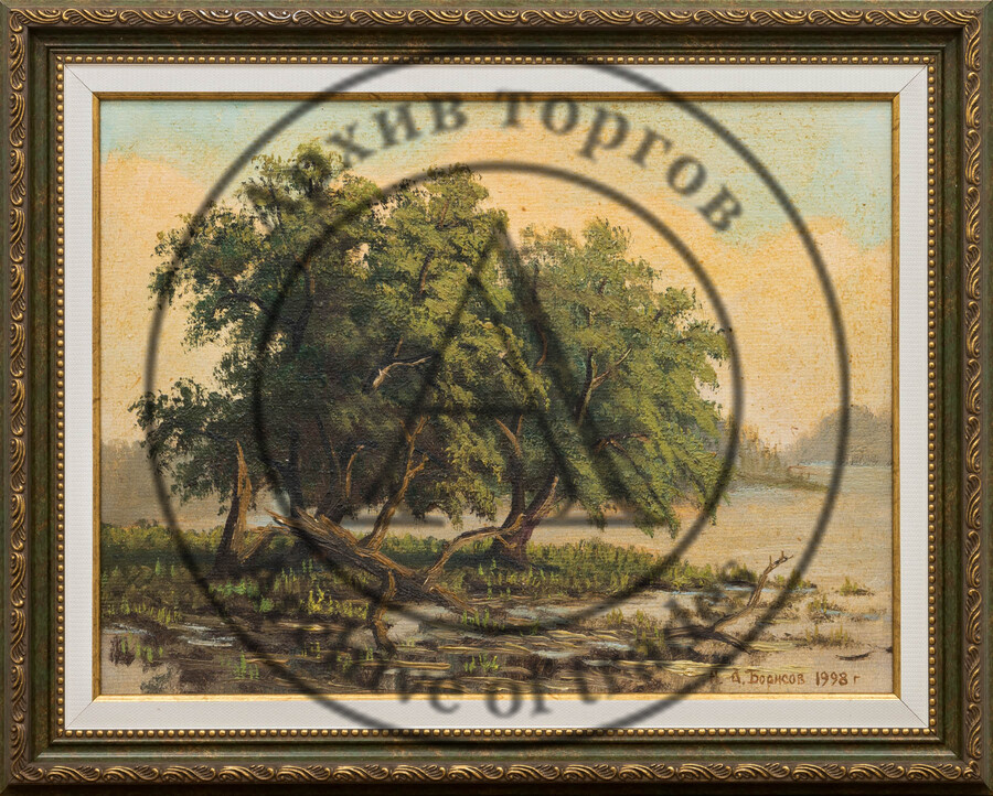 Упавшая старая ветла