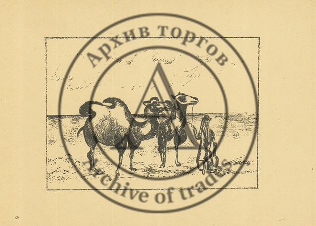 Лист №8 из альбома «Туркестан»