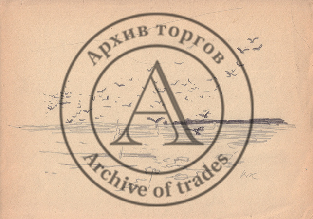 Чайки над морем