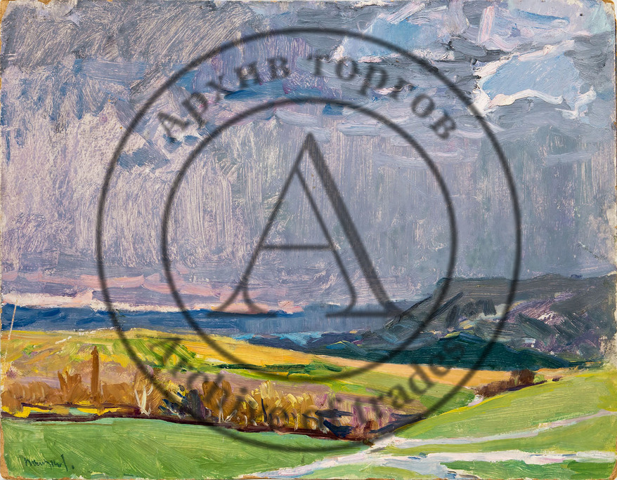 Перед грозой