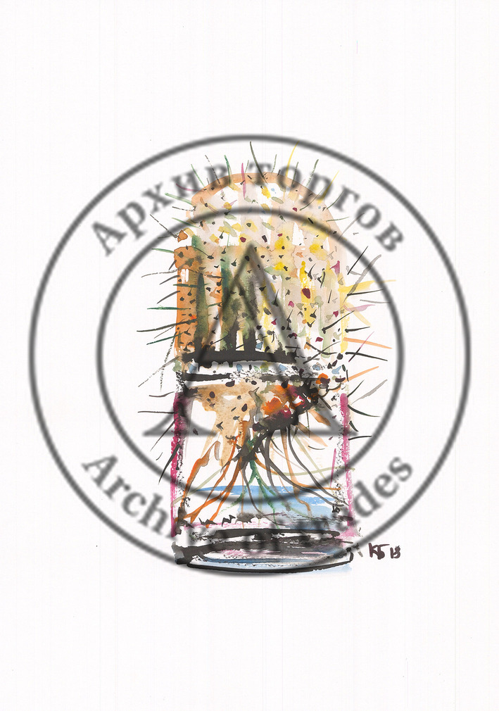 Кактус
