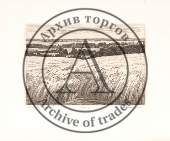 Поля Подмосковья